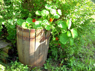 Similar image 21808842