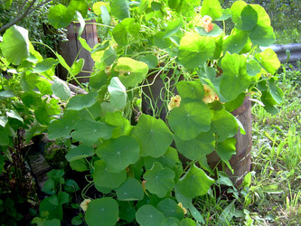 Similar image 21808844