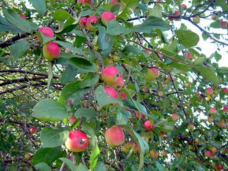 Similar image 21808846