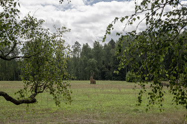 Similar image 21811470