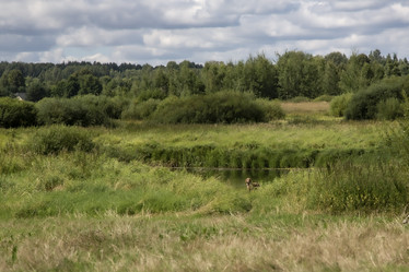 Similar image 21811471