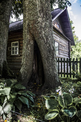 Similar image 21811482