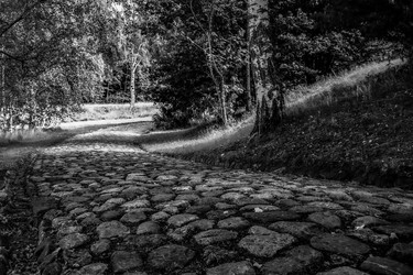 Similar image 21811486