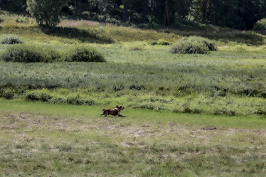 Similar image 21811488