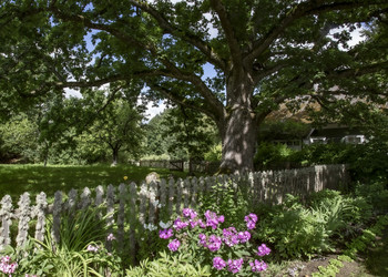 Similar image 21811489