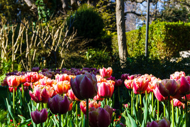 Similar image 21812202