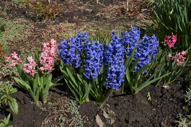 Similar image 21809017