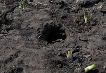 Similar image 21808872