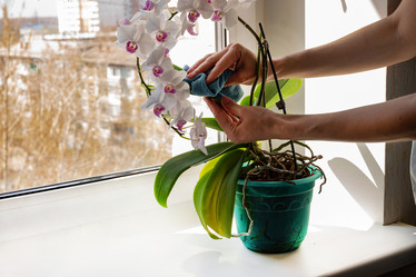 Similar image 21808877