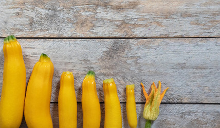 Similar image 21808879