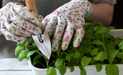 Similar image 21808881