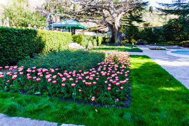 Similar image 21813113