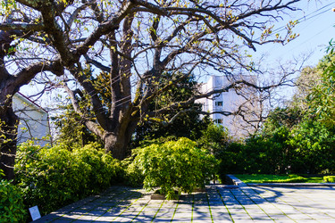 Similar image 21813114