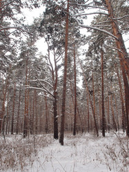 Similar image 21809269