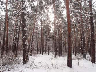 Similar image 21809270