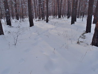 Similar image 21809271