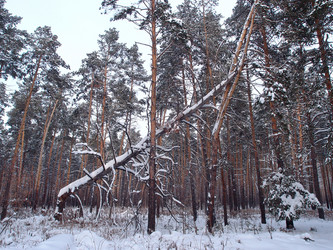 Similar image 21809273