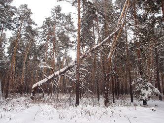 Similar image 21809275