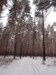 Similar image 21809276