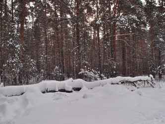 Similar image 21809277