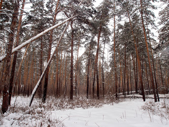 Similar image 21809278