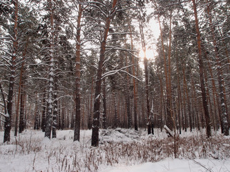 Similar image 21809279