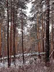 Similar image 21809282