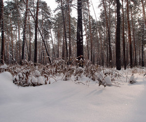 Similar image 21809283