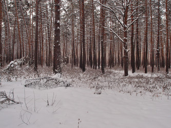 Similar image 21809285