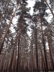 Similar image 21809286