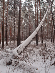 Similar image 21809288