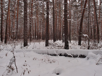 Similar image 21809290