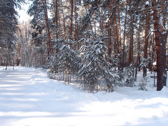 Similar image 21809296