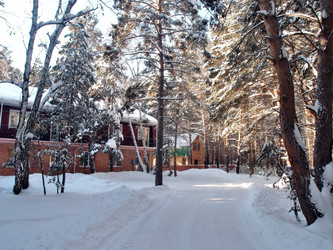 Similar image 21809297