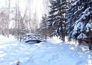 Similar image 21809300