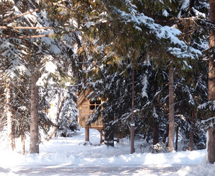 Similar image 21809301