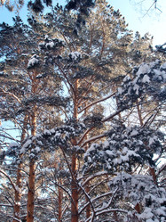 Similar image 21809302