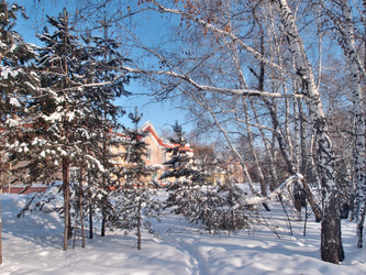 Similar image 21809303