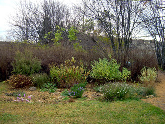 Similar image 21809720