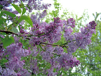 Similar image 21809721