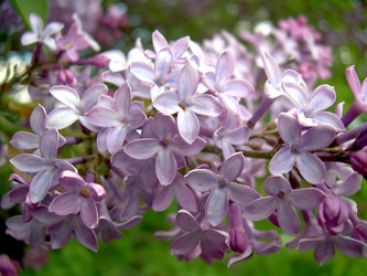 Similar image 21809722