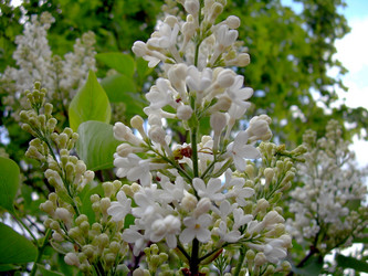 Similar image 21809723