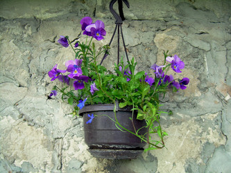 Similar image 21809724