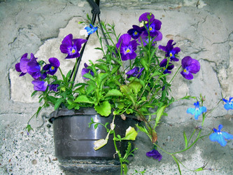 Similar image 21809725