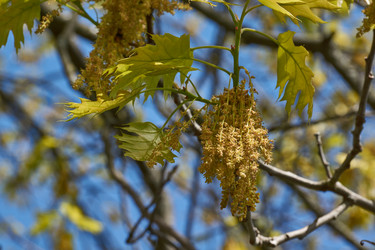 Similar image 21809307