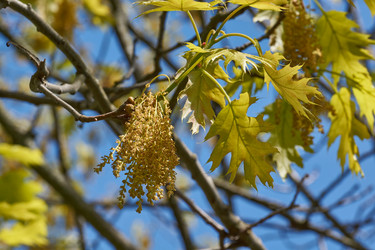 Similar image 21809308