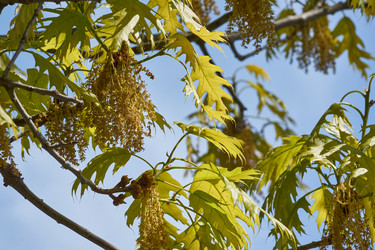 Similar image 21809309