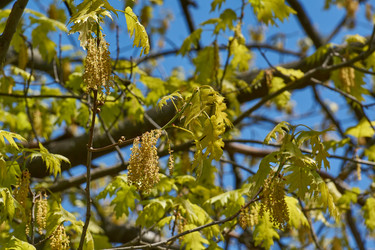 Similar image 21809310