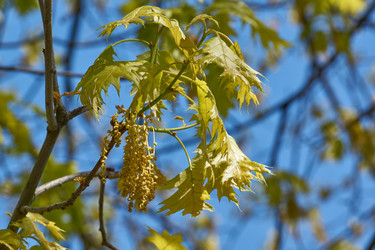 Similar image 21809312