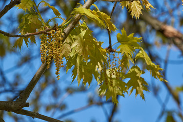 Similar image 21809313